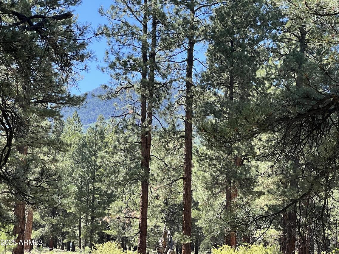 Forest Road 193 St., Flagstaff, AZ 86001
