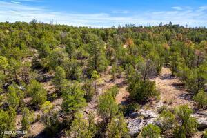 3654 Zane Grey Tr. #59, Overgaard, AZ 85933
