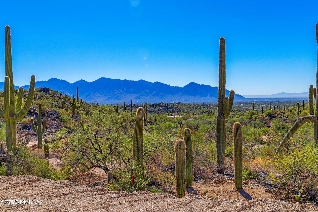 14124 N Tortolita Estates Dr. #-, Tucson, AZ 85755