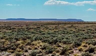 TBD County Road N7012 40 Acres #-, Sanders, AZ 86512