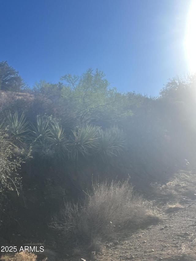 XX Black Peak Rd. #90, Globe, AZ 85501