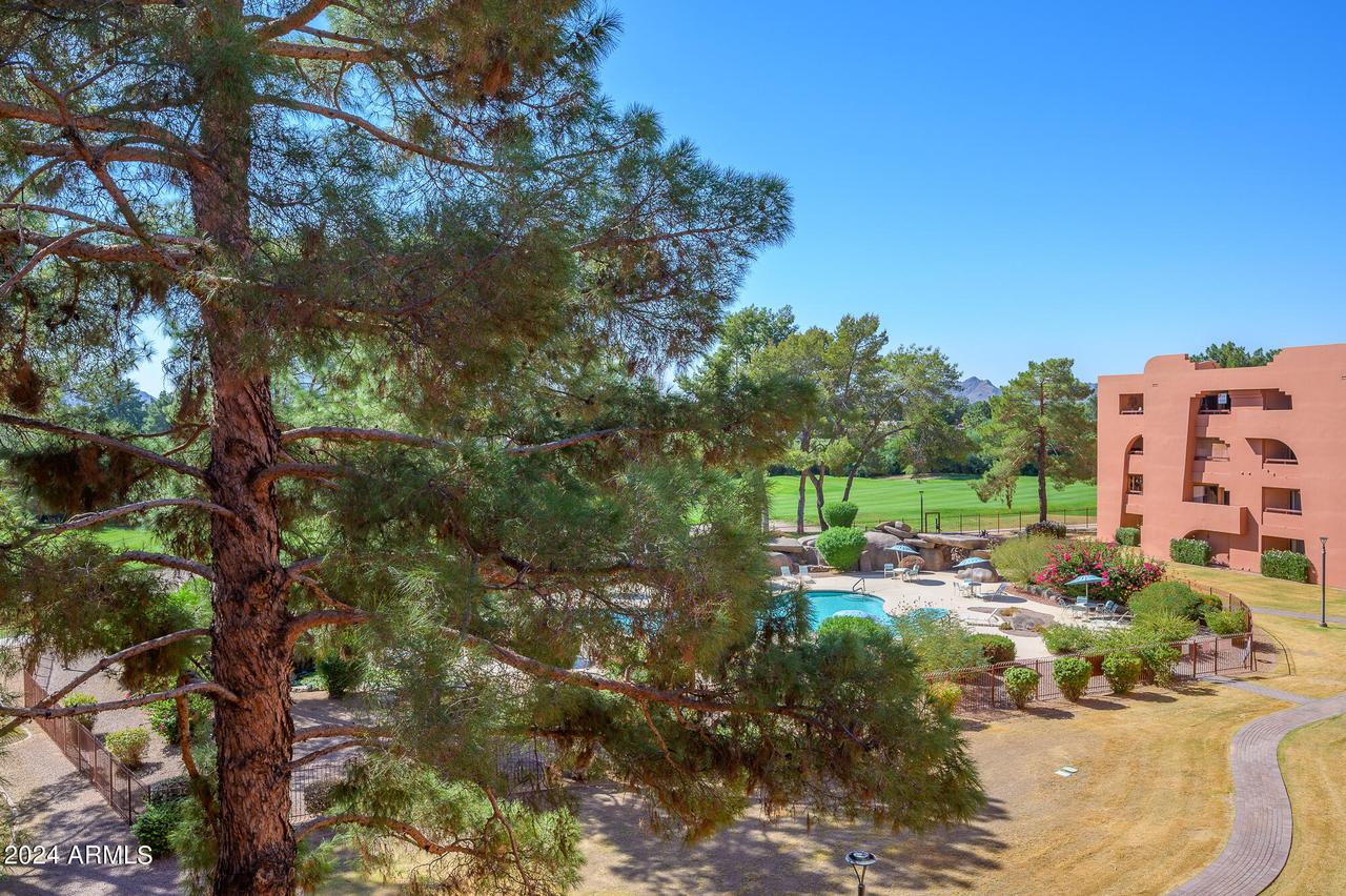 12212 N Paradise Village Pkwy. #445, Phoenix, AZ 85032