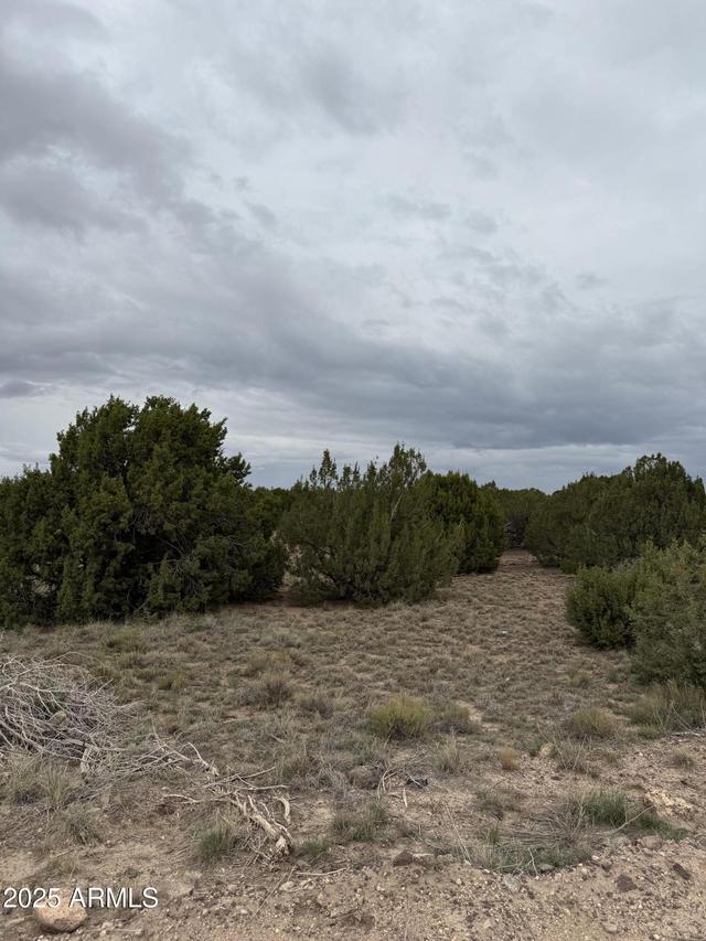 55 Acr 8050 #14, Concho, AZ 85924