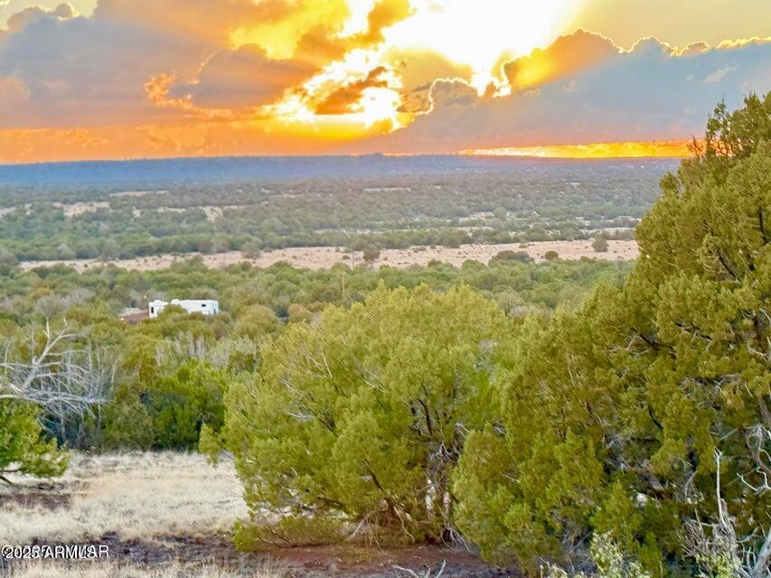 W Weber Ln Lots A & B 10 Acres #-, Show Low, AZ 85901