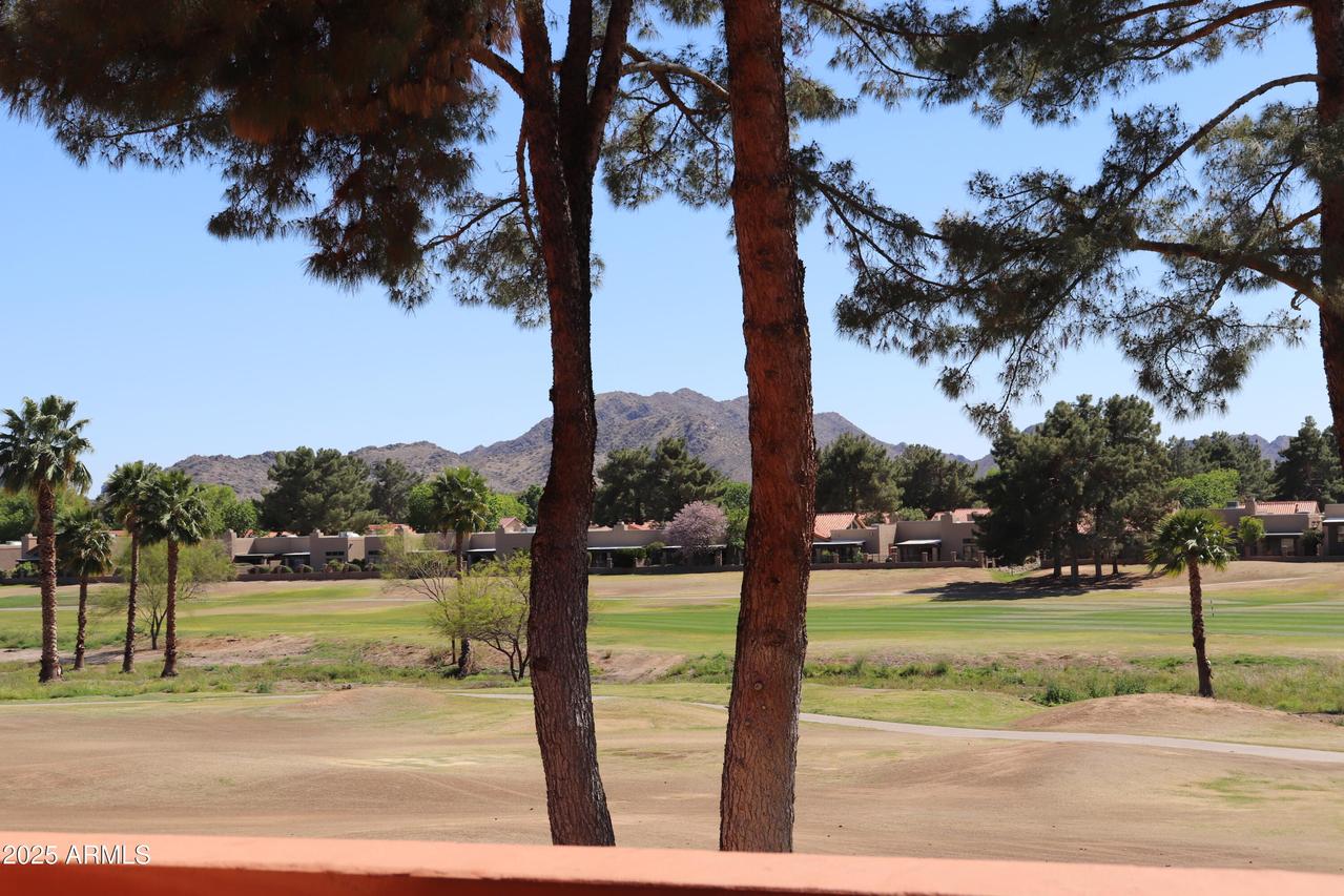4303 E Cactus Rd. #229, Phoenix, AZ 85032