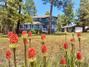 New Homes For Sale This Week in Mormon Lake: October 10th to October 16th