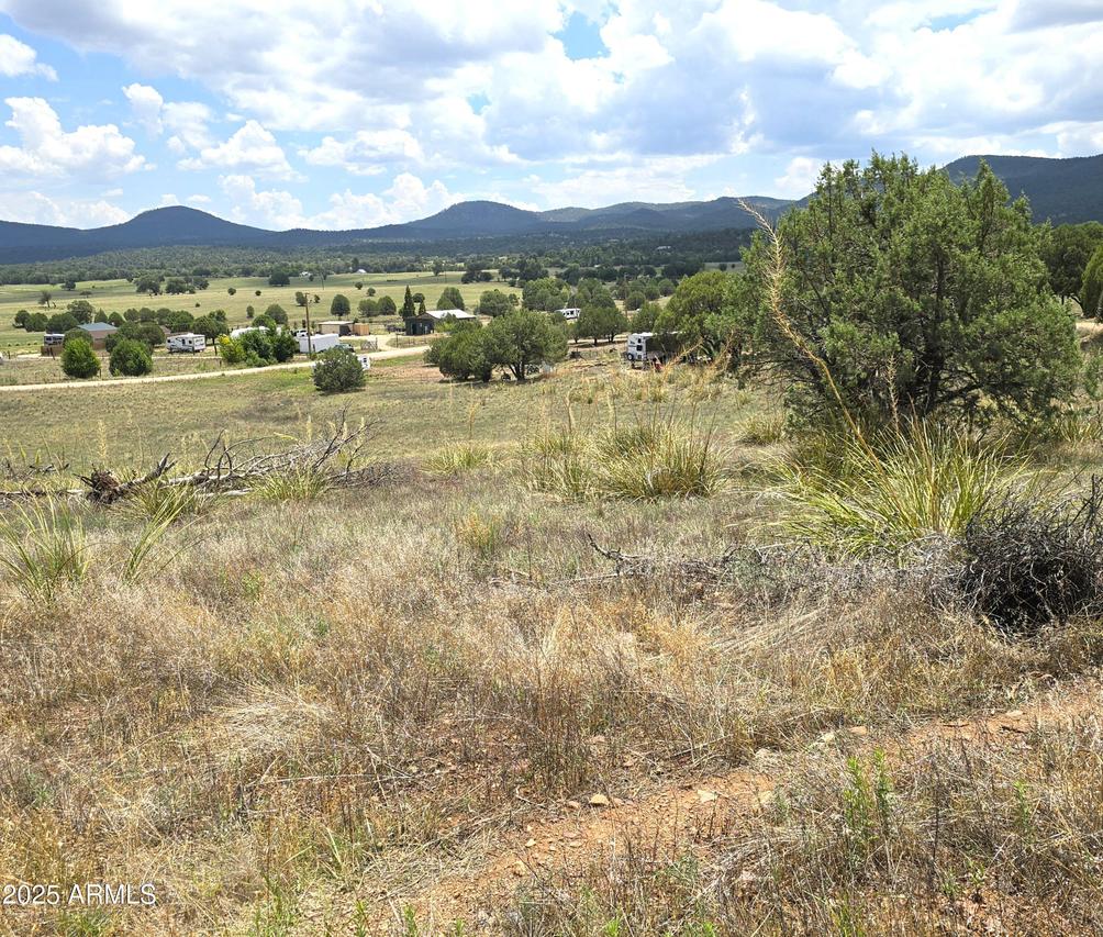 410-3 S Rolling Hills Rd. #3, Young, AZ 85554