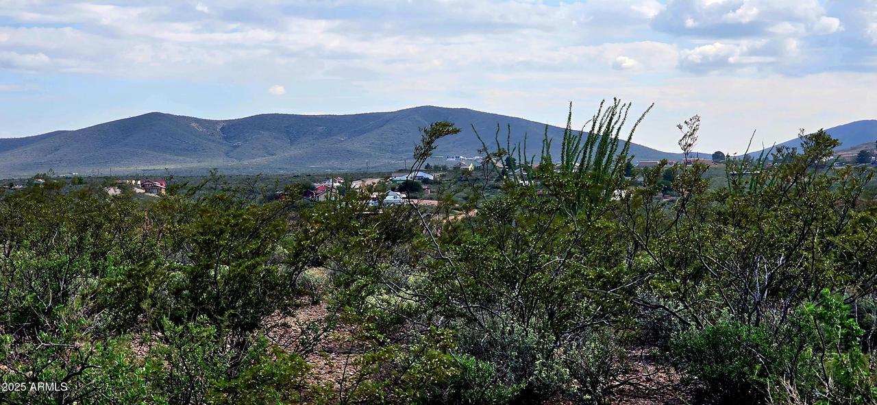 TBD N Rosa Ct. #602, Tombstone, AZ 85638