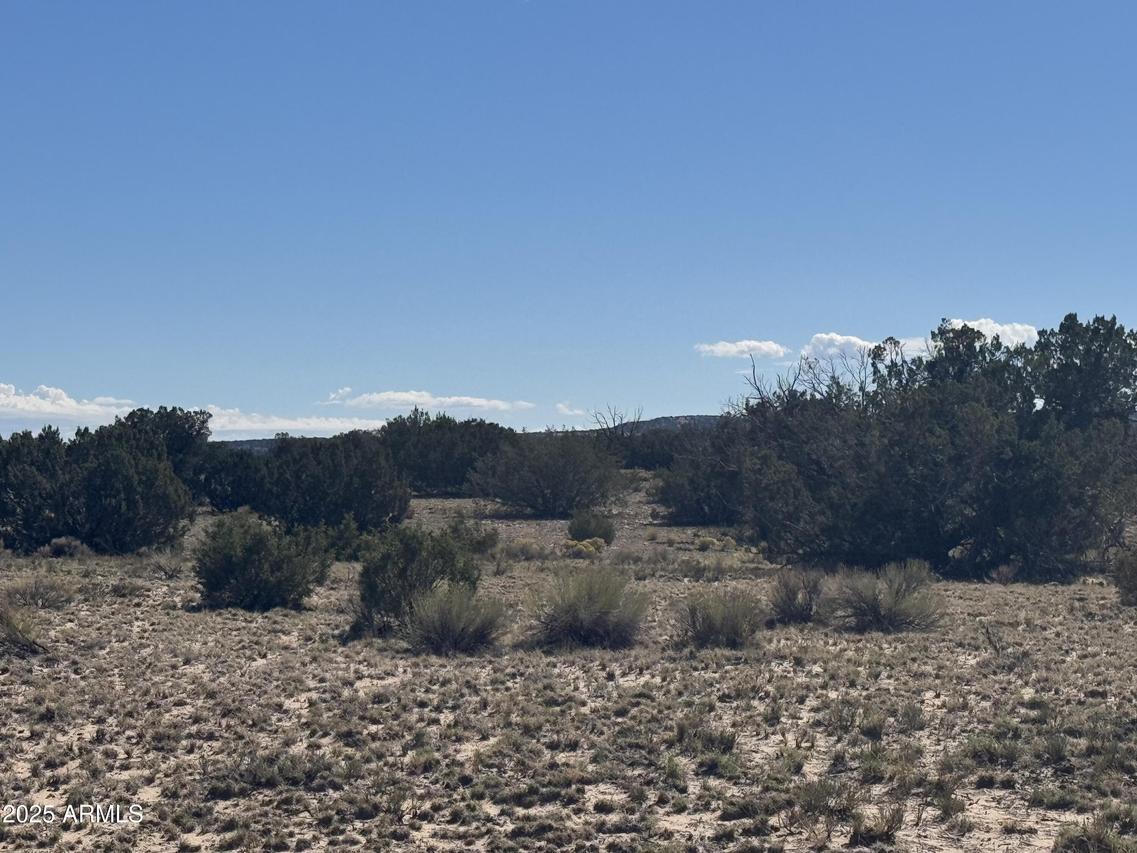 Lor 736 Woodland Valley Ranch #736, St Johns, AZ 85936