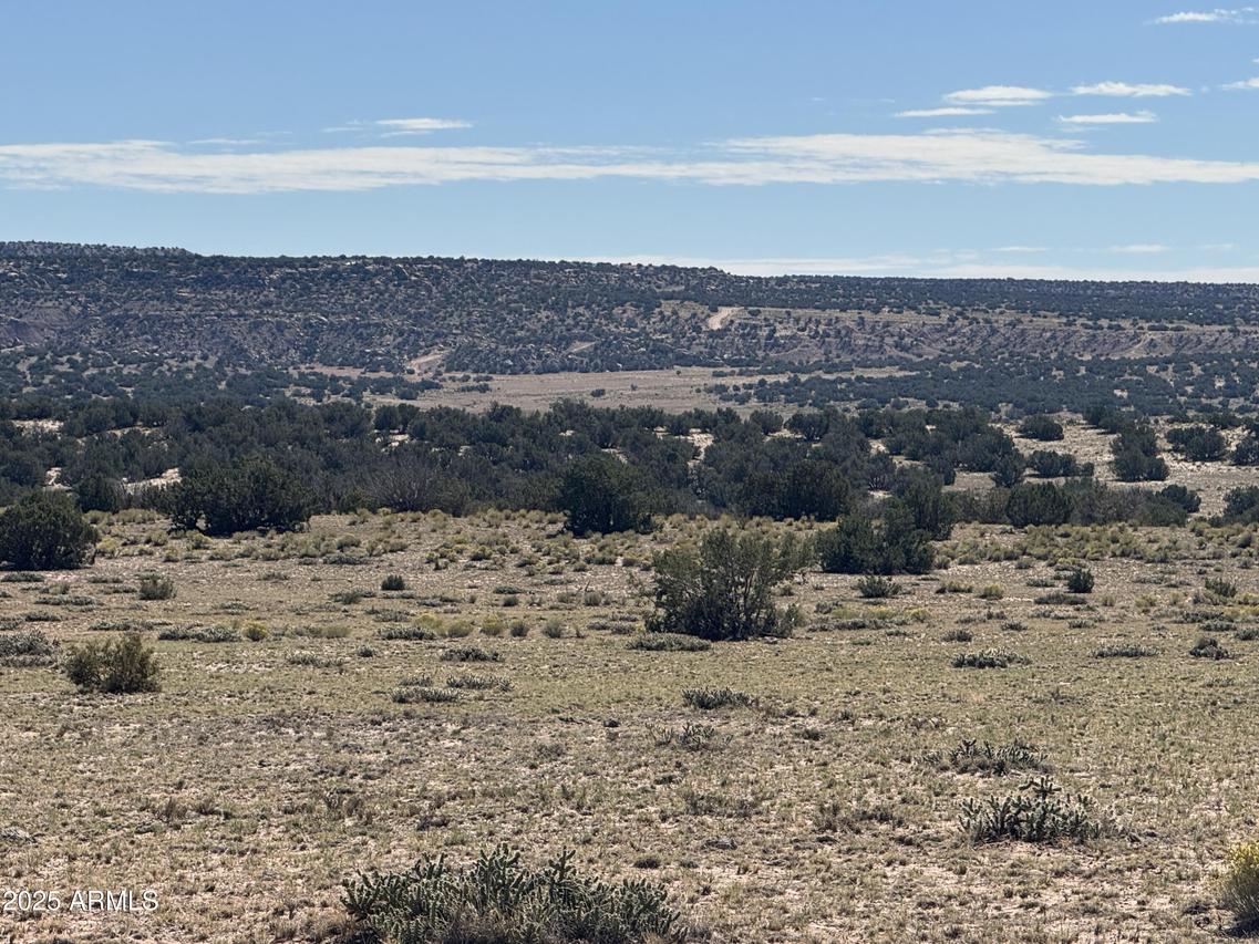 Lot 746 Woodland Valley Ranch #746, St Johns, AZ 85936