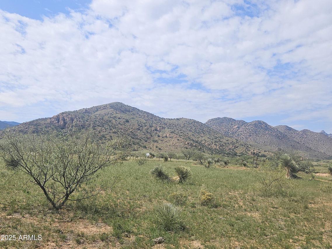 TBD W Windsor St Lot 7 Blk 319 #7, Pearce, AZ 85625