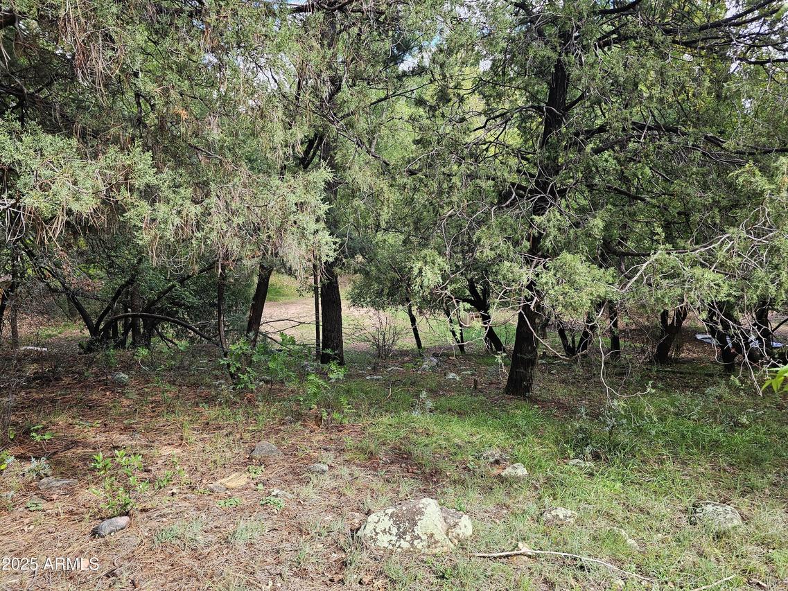 TBD N Houston Mesa Rd. #-, Payson, AZ 85541