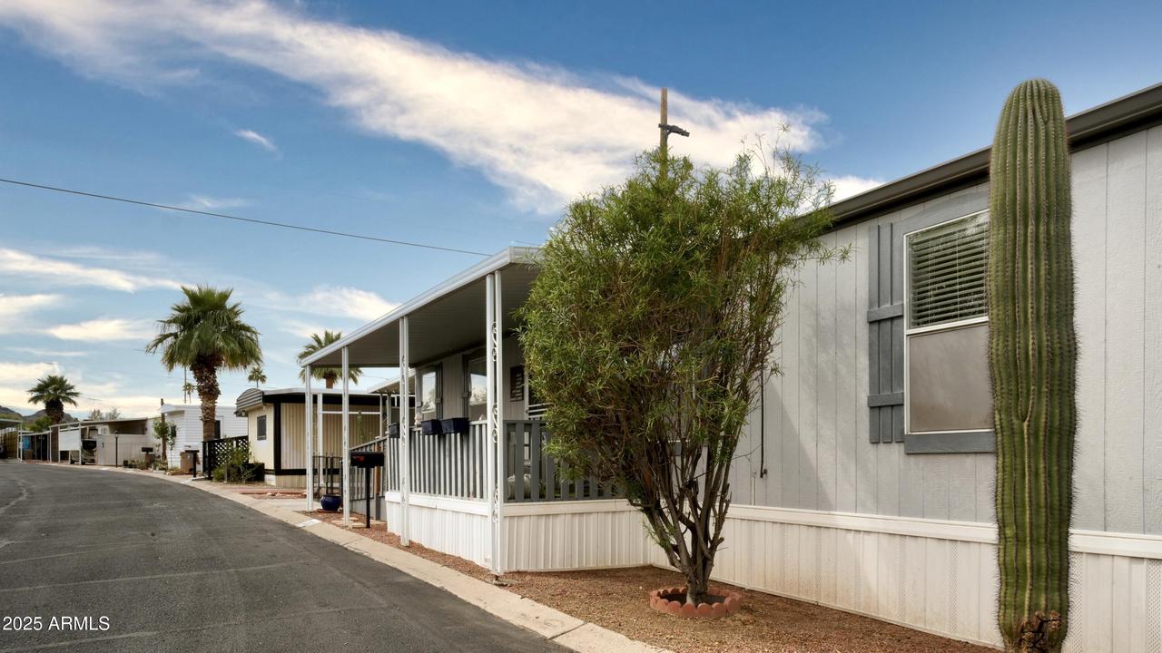 10401 N Cave Creek Rd. #282, Phoenix, AZ 85020