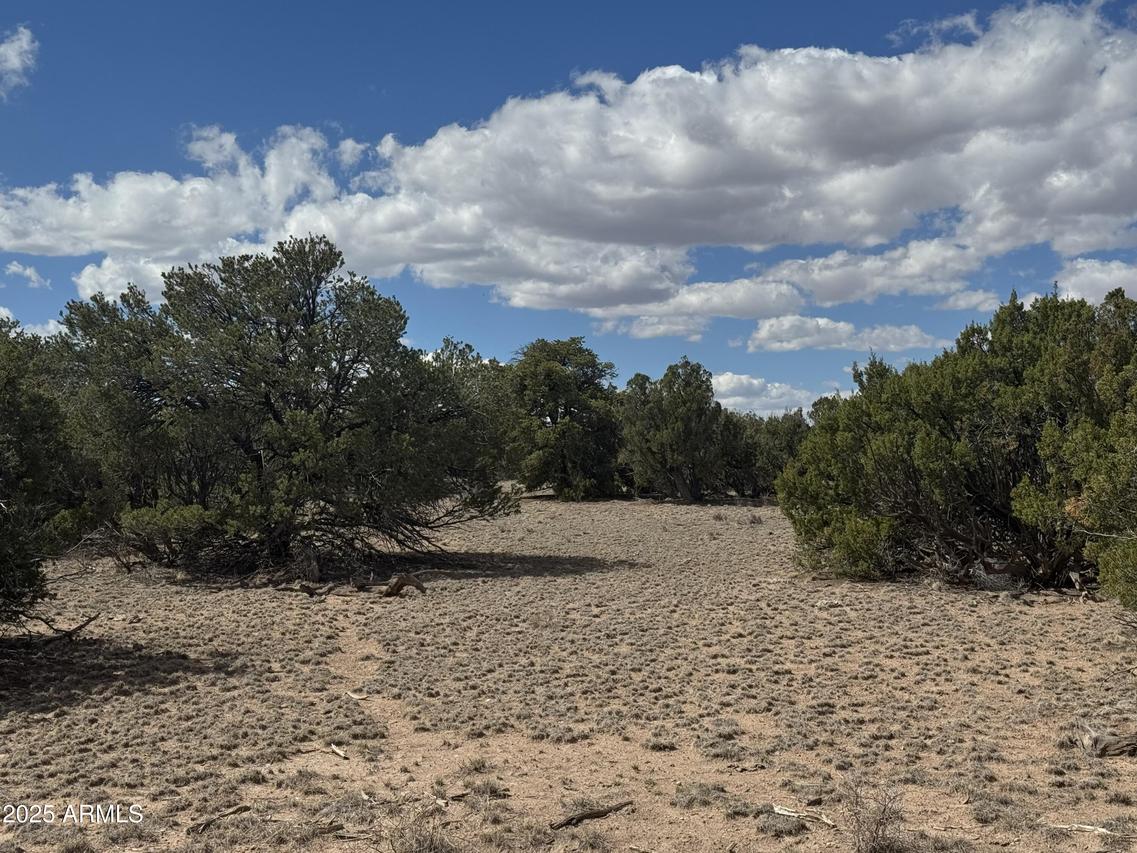 Lot 131 Elk Valley Ranch #131, St Johns, AZ 85936