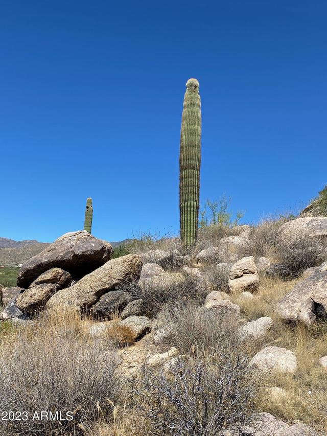 23325 W Gold Dollar Tr. #-, Congress, AZ 85332
