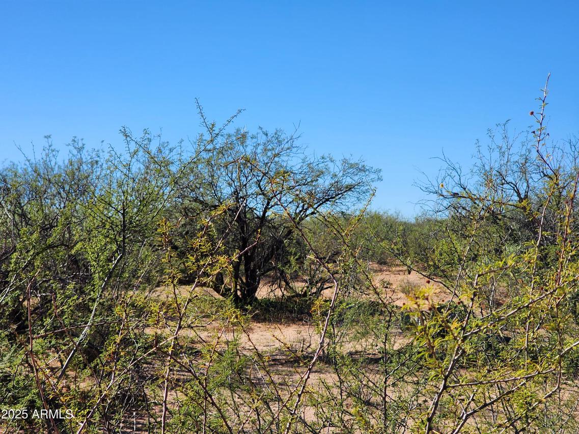 lot s Calle Molinar 350-350 #-, Sierra Vista, AZ 85650