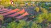 New Homes For Sale This Week That Attend Saguaro High School: October 10th to October 16th