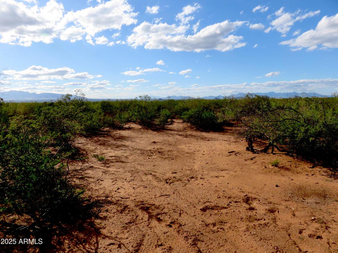 TBD S Dirksen Draw #-, Tombstone, AZ 85638