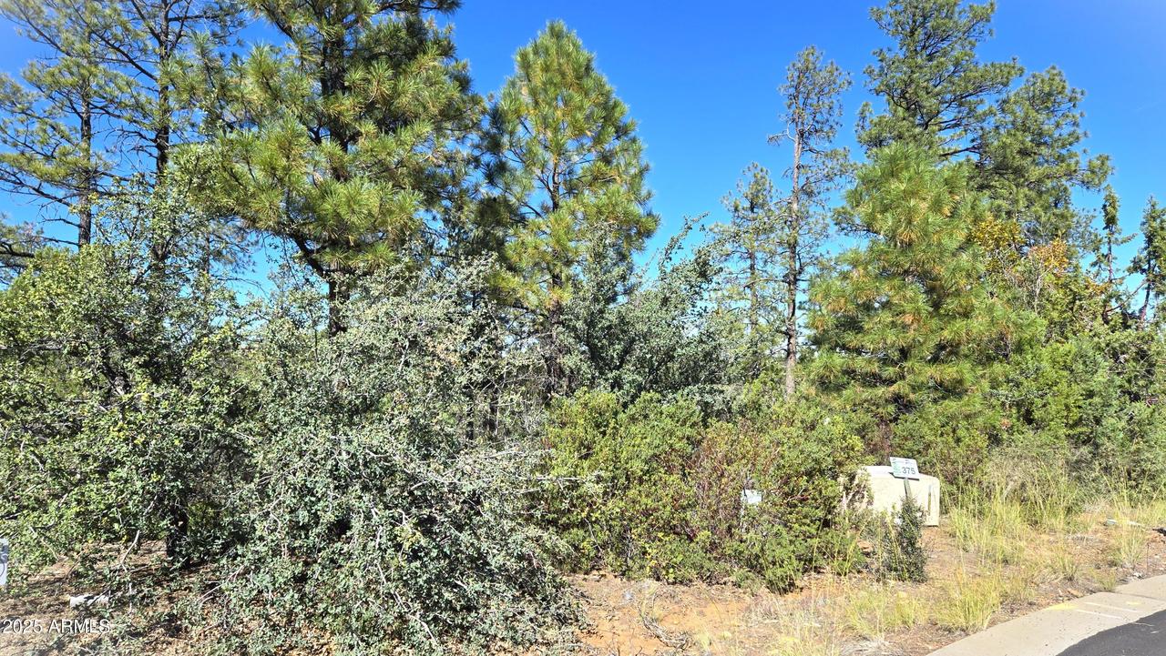 440 E Stoneridge Cir. #375, Show Low, AZ 85901