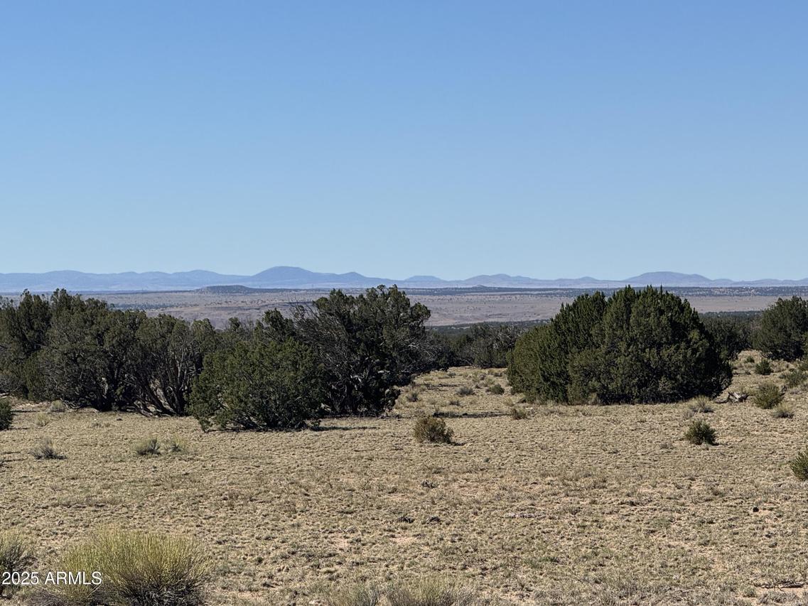 Woodlands Ranch - Lot 704 #704, St Johns, AZ 85936