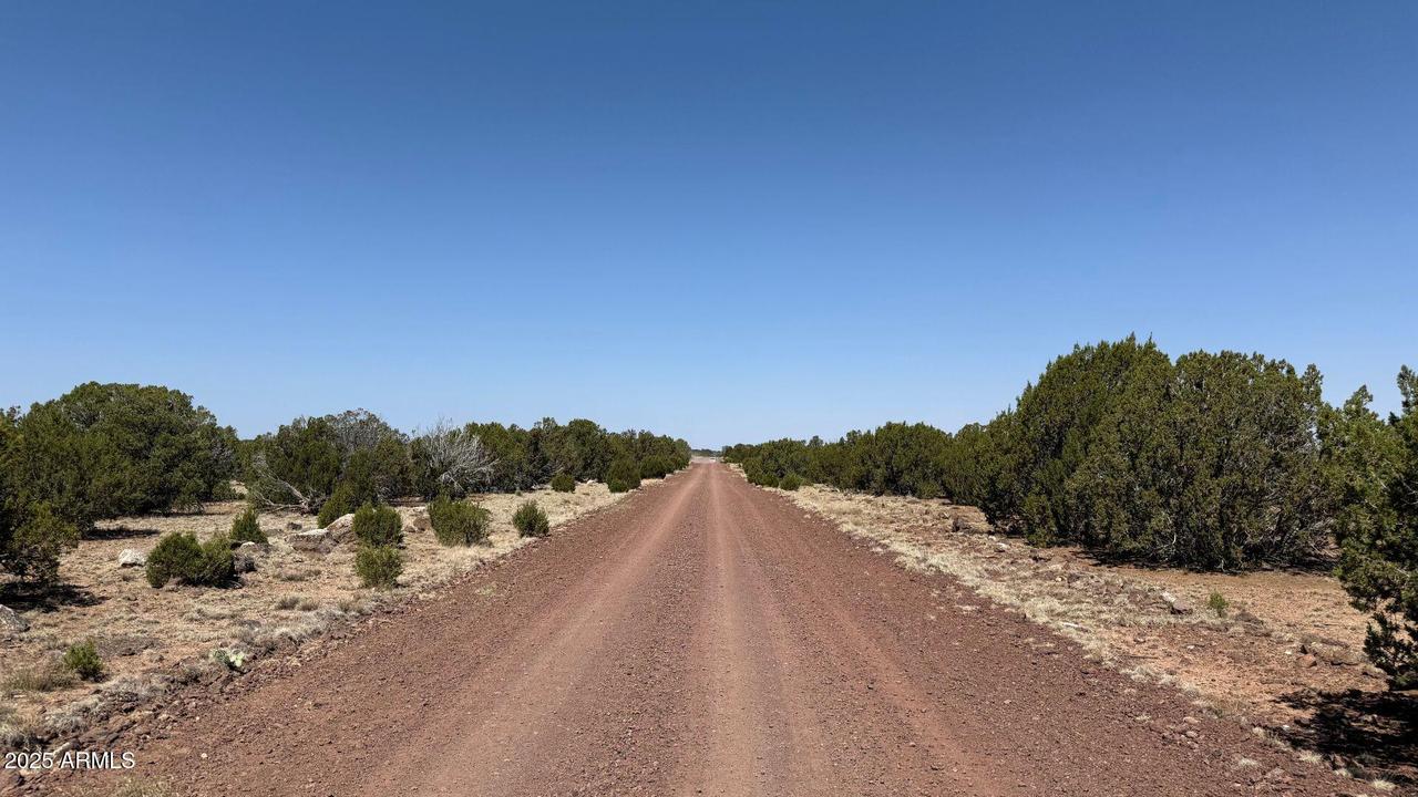 Colts Way Lot 5 #2005, Concho, AZ 85924