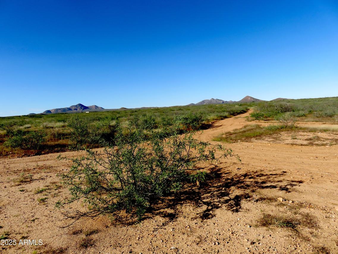 TBD N High Lonesome Rd. #52, Elfrida, AZ 85610