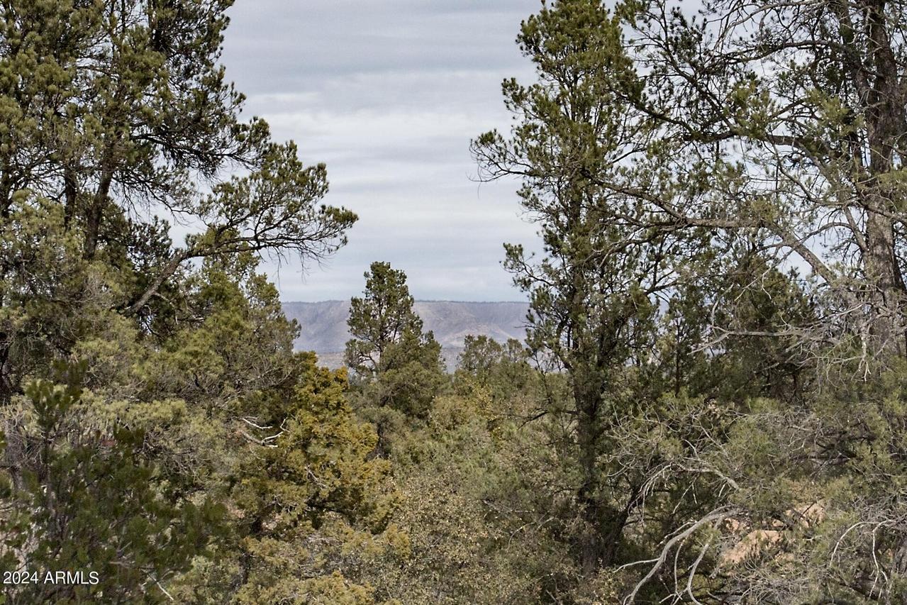 506 S Rim Club Dr. #7, Payson, AZ 85541