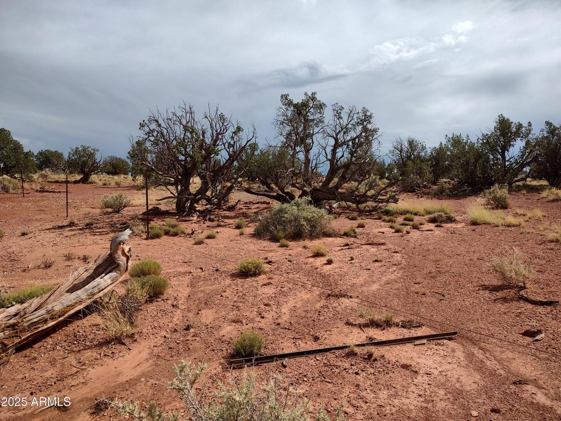 TBD 201-25-009 And 010a #009, Heber, AZ 85928