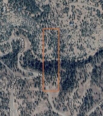 1129 W Moqui Dr. #9, Happy Jack, AZ 86024