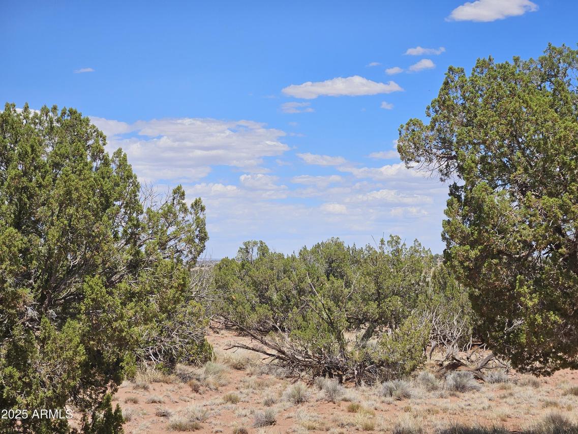 27 N N9183 #72, Concho, AZ 85924