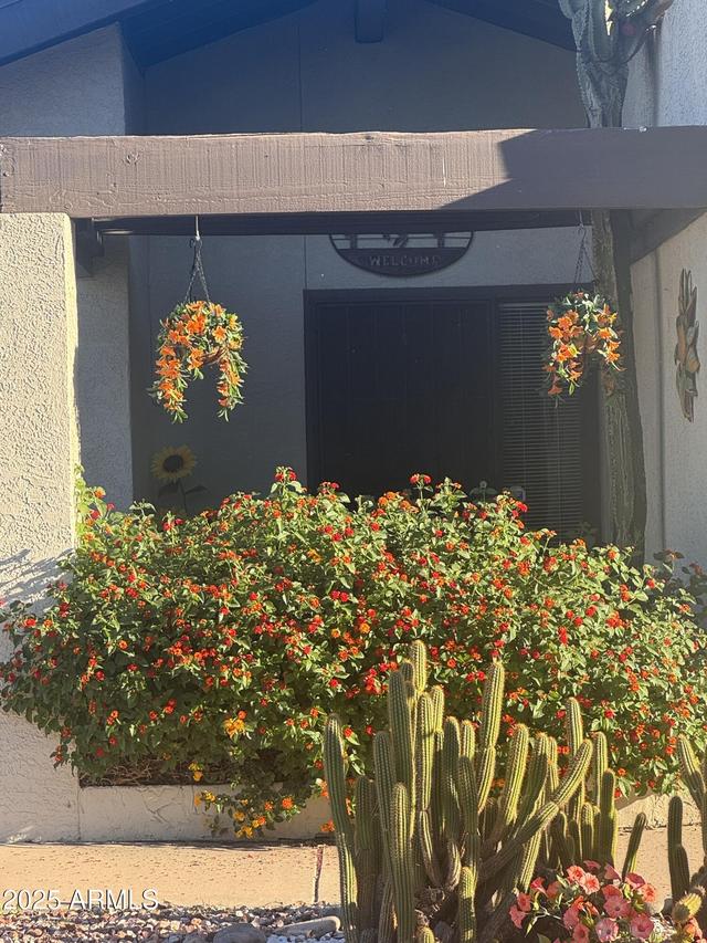 2911 W Cholla St., Phoenix, AZ 85029