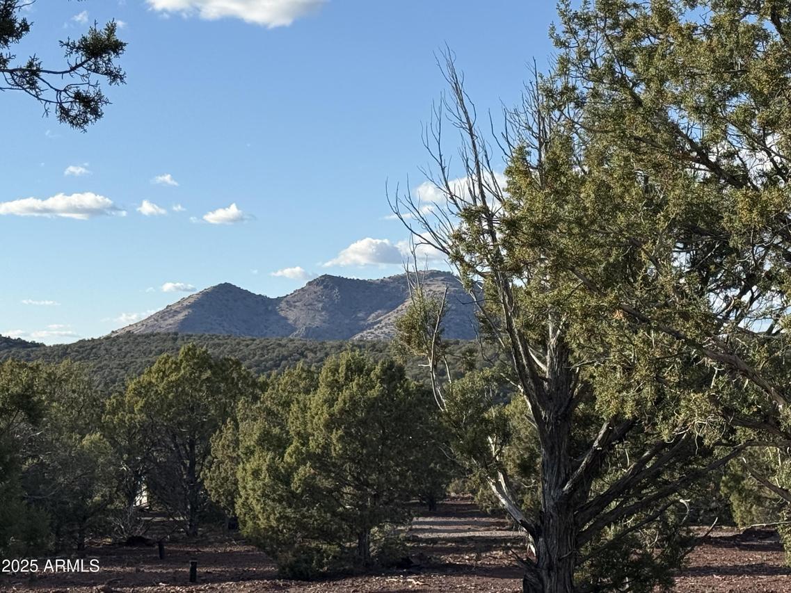 17375 Beale Wagon Rd. #458 and 457, Williams, AZ 86046