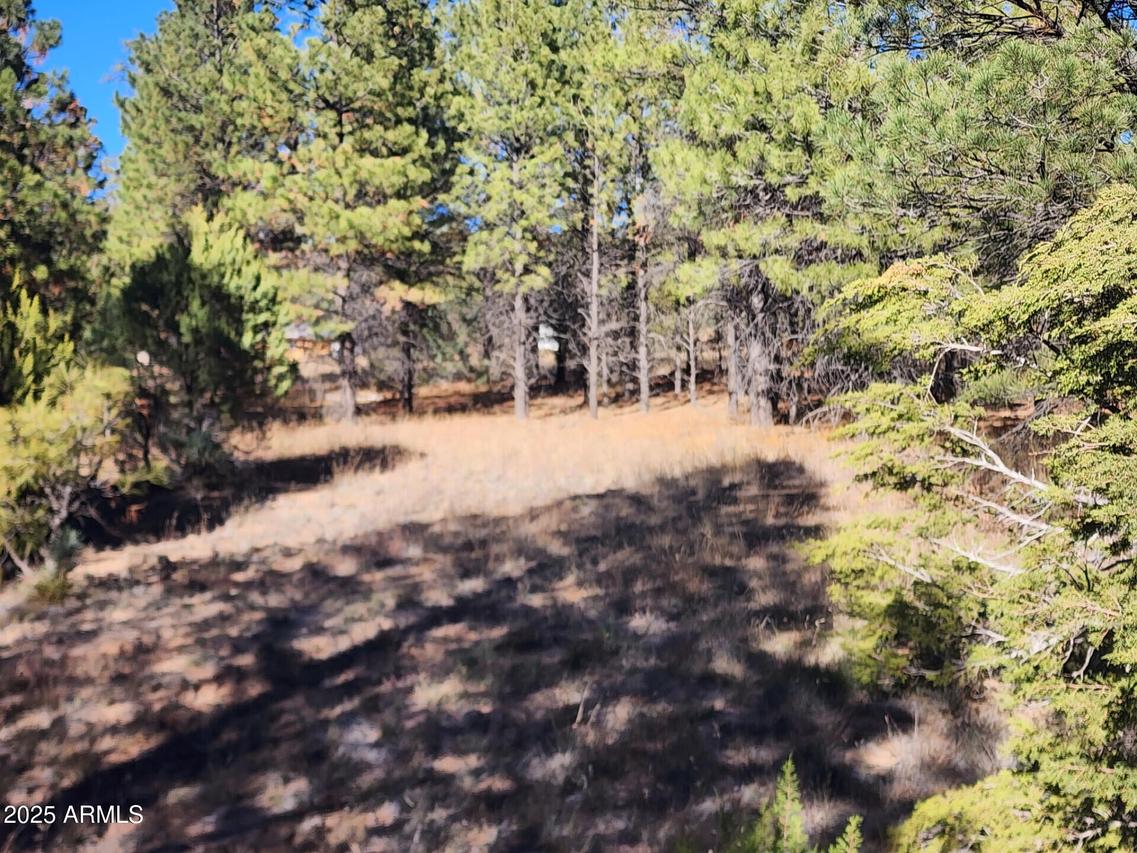 TBD Cedar Bark Trail Parcel #4 #4, Overgaard, AZ 85933