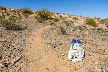 11282 S San Roberto Dr., Goodyear, AZ 85338