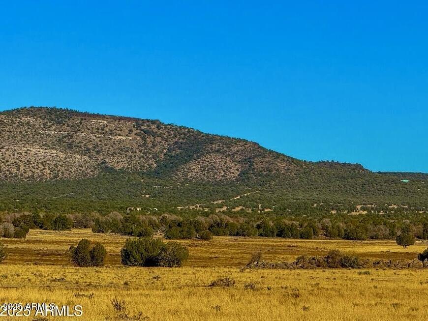 Johnny Ridge Rd 37 Acres #1296, Seligman, AZ 86337