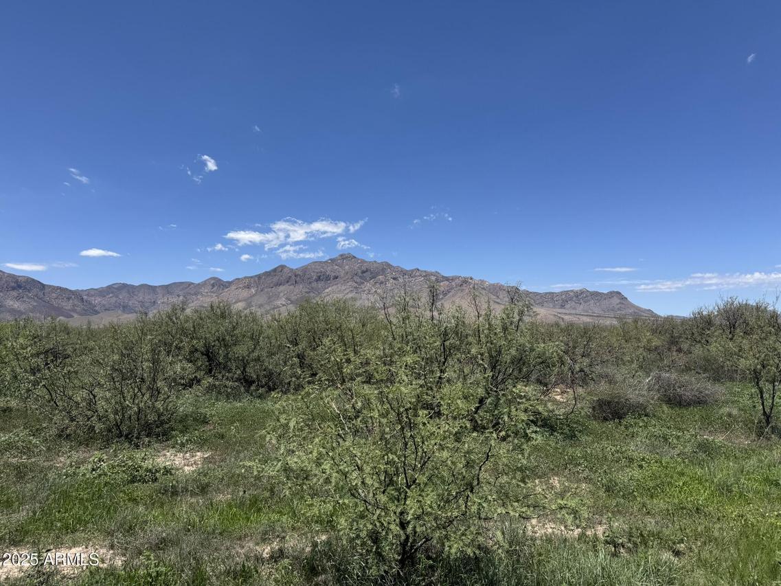 39.6 Acres W Paulo Rose Dr. #2, Portal, AZ 85632