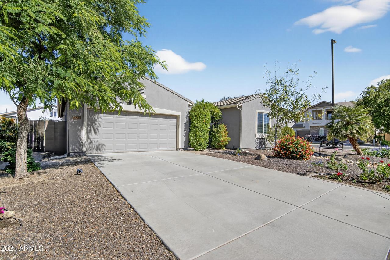 984 E Rojo Way, Gilbert, AZ 85297