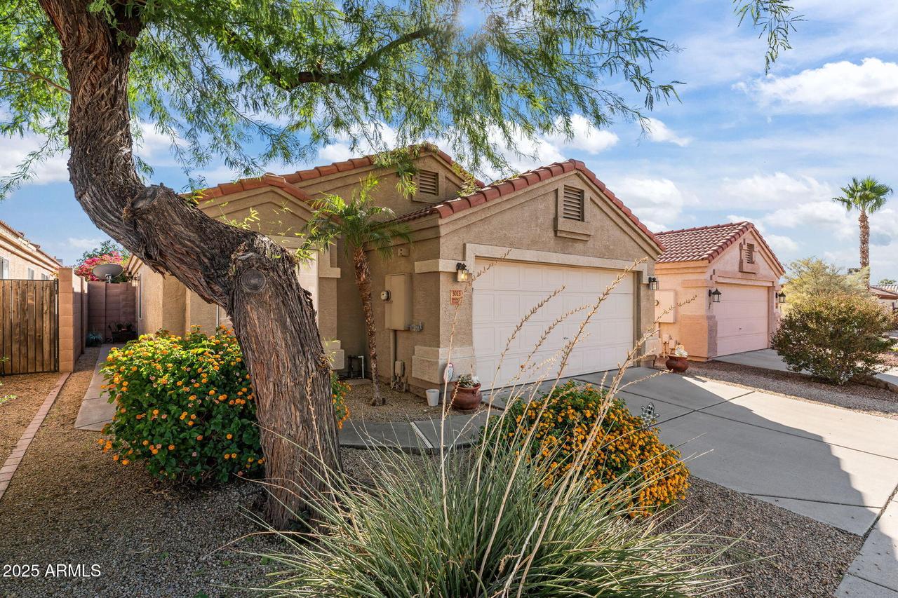 3023 E Hononegh Dr., Phoenix, AZ 85050