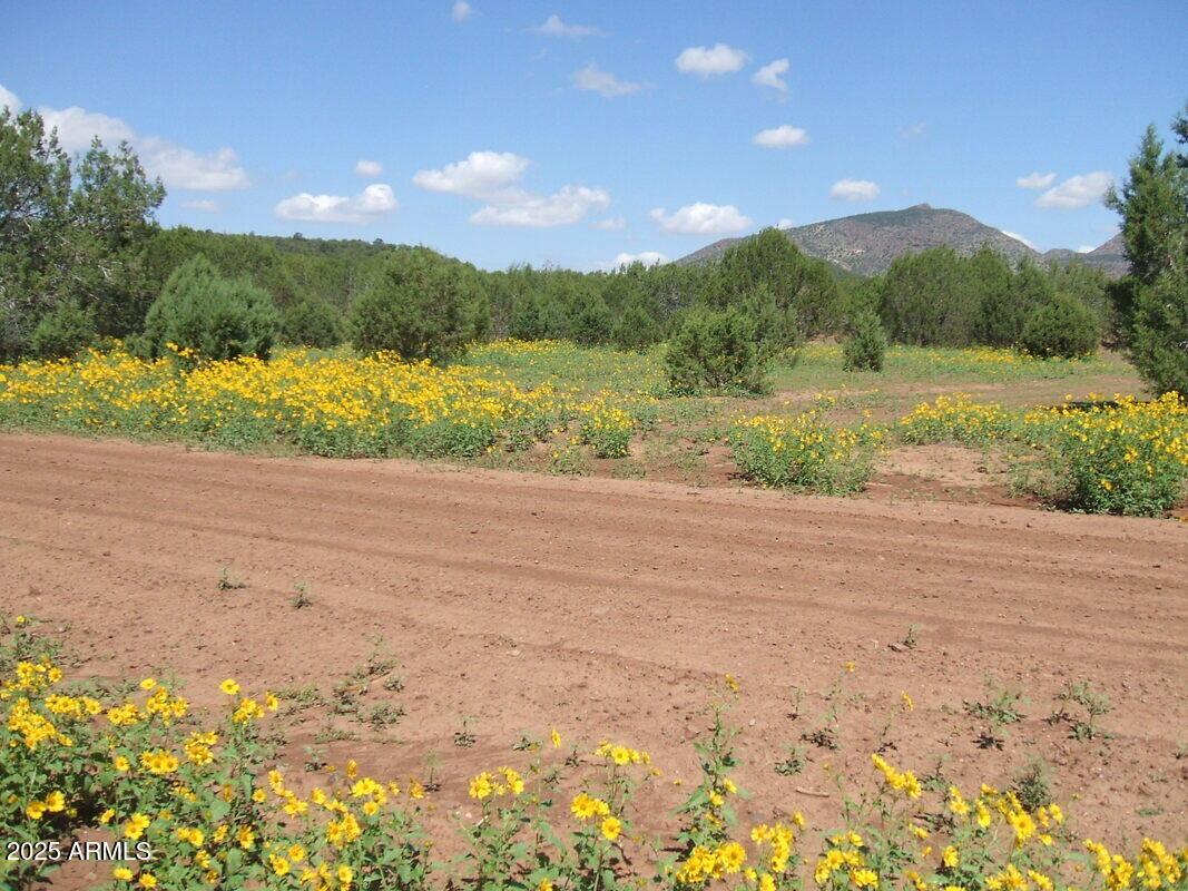 144 B N Ranch Rd. #144B, Williams, AZ 86046