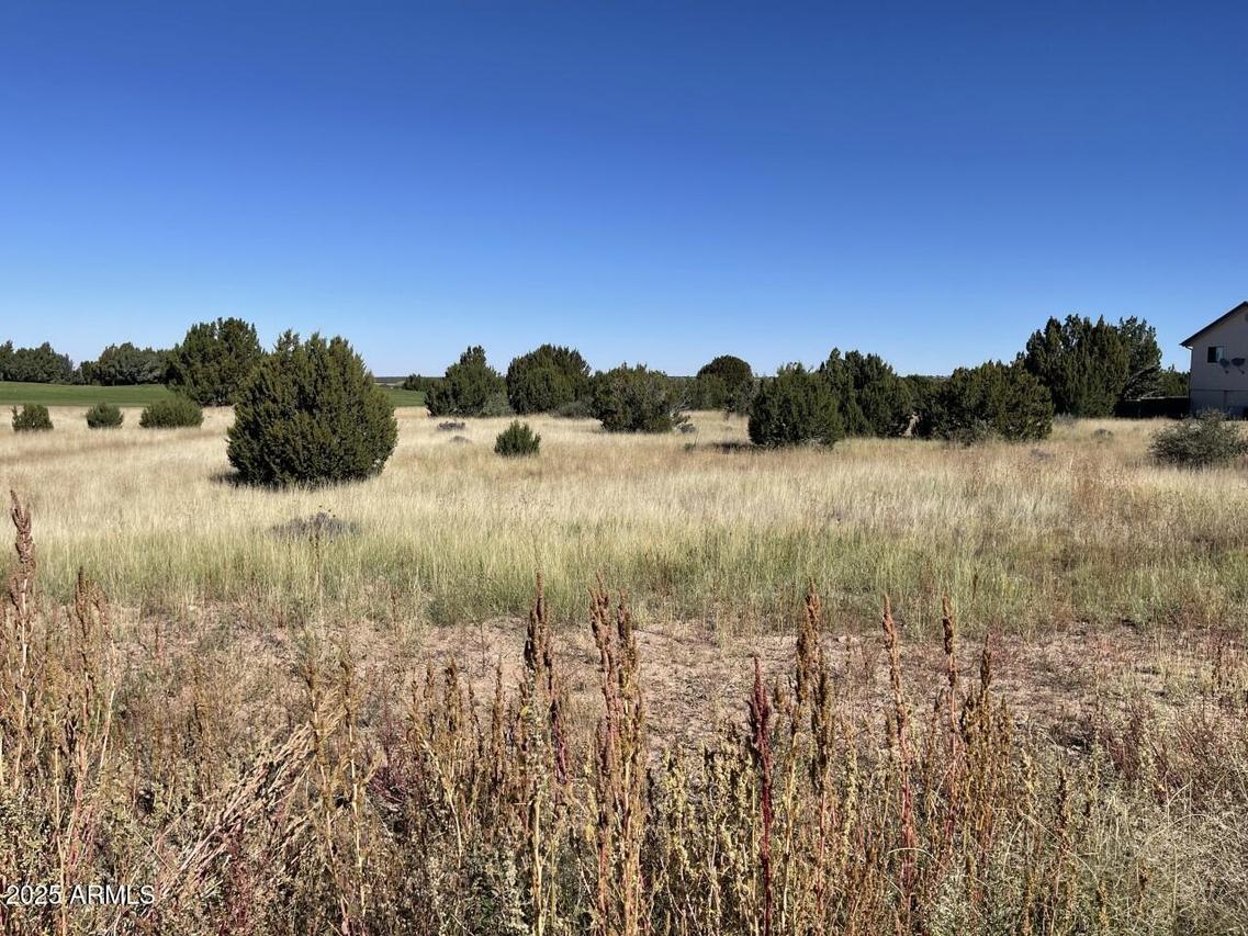 1951 Creekside Cir. #77, Show Low, AZ 85901