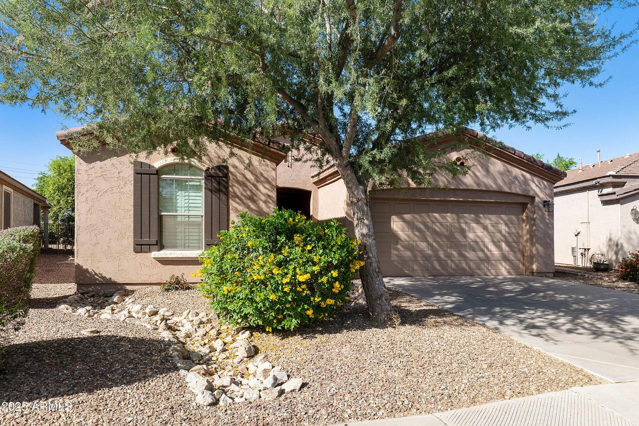 4245 E Ficus Way, Gilbert, AZ 85298