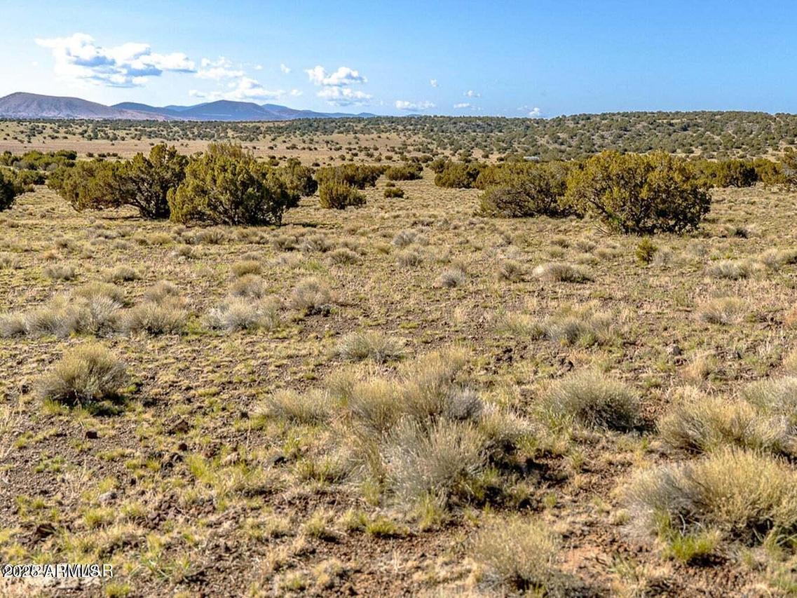 TBD Co Rd 5106 Lot #2 1.1 Acres #-, Concho, AZ 85924