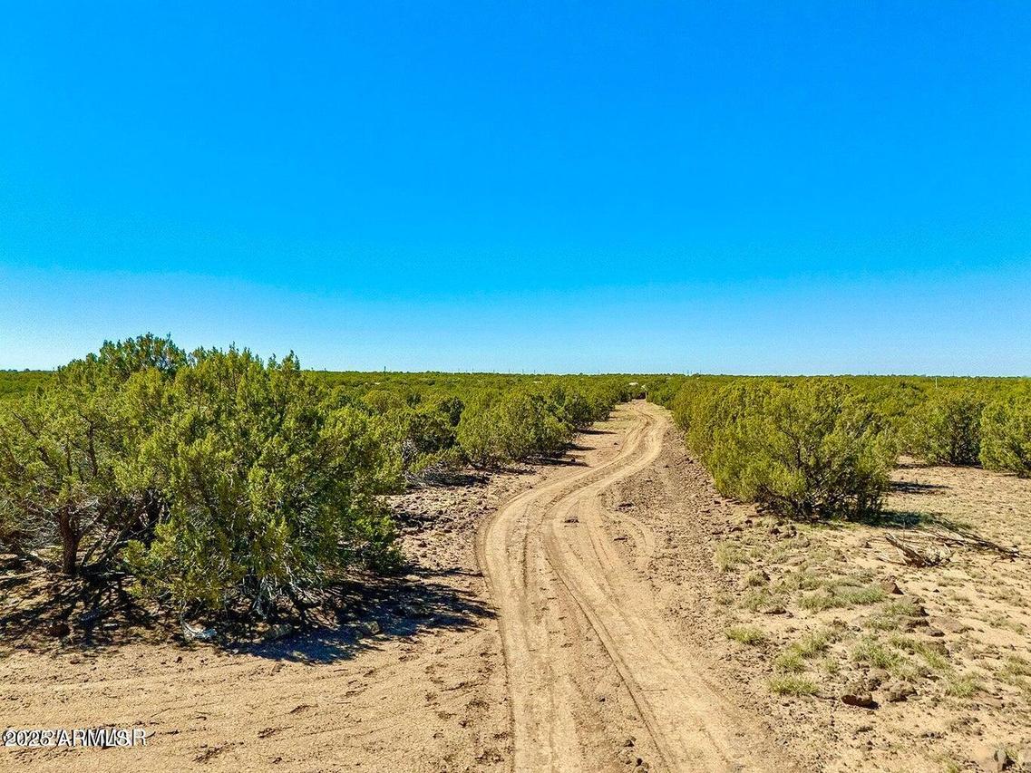 128 Co Rd 8061 1.27 Acres #-, Concho, AZ 85924