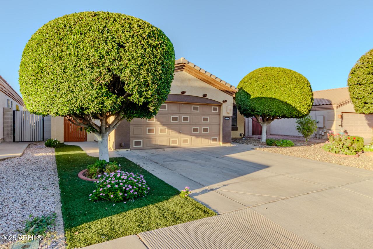 13558 W Young St., Surprise, AZ 85374