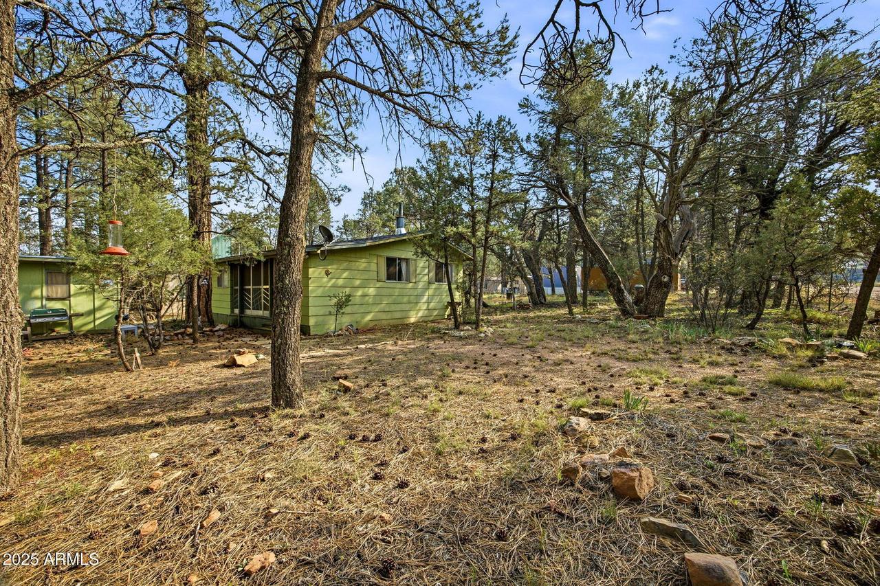2887 Center Rd., Overgaard, AZ 85933