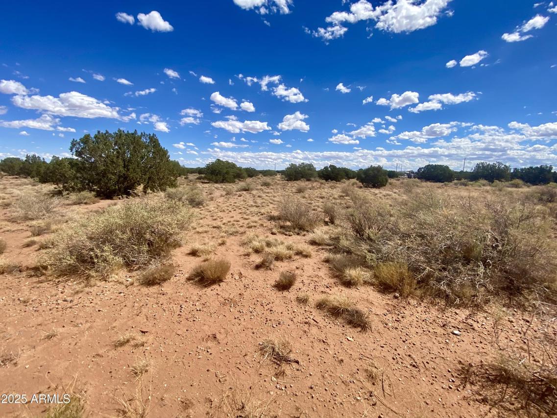 4577 Pinto Rd. #68, Snowflake, AZ 85937