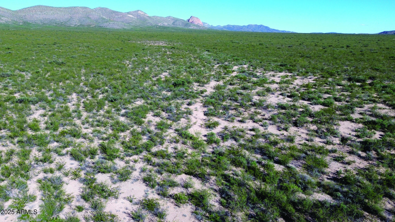 4.79 Acres La Deffensa Rd. #167, Douglas, AZ 85607