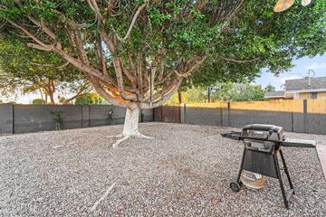 7028 N 12th Way, Phoenix, AZ 85020