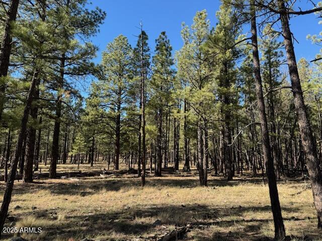 Lot 3L N Quintana Dr. #-, Flagstaff, AZ 86001
