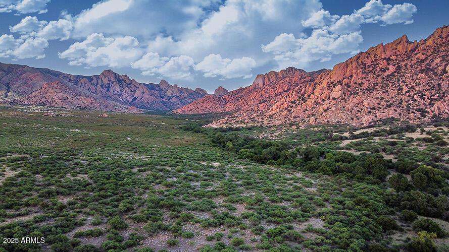 F 196 E Horse Ranch Rd. #196, Saint David, AZ 85630